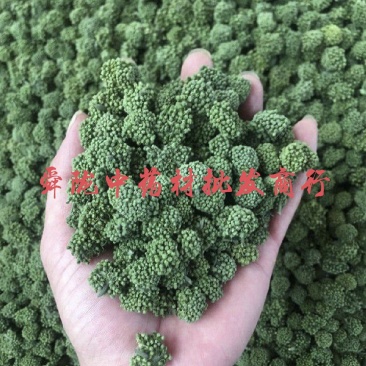 三七花，四年生，新货无硫无熏蒸，产地一手货源，实拍现货