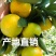 早熟蜜桔细皮果果园直采一手货源欢迎实地考察全国发货