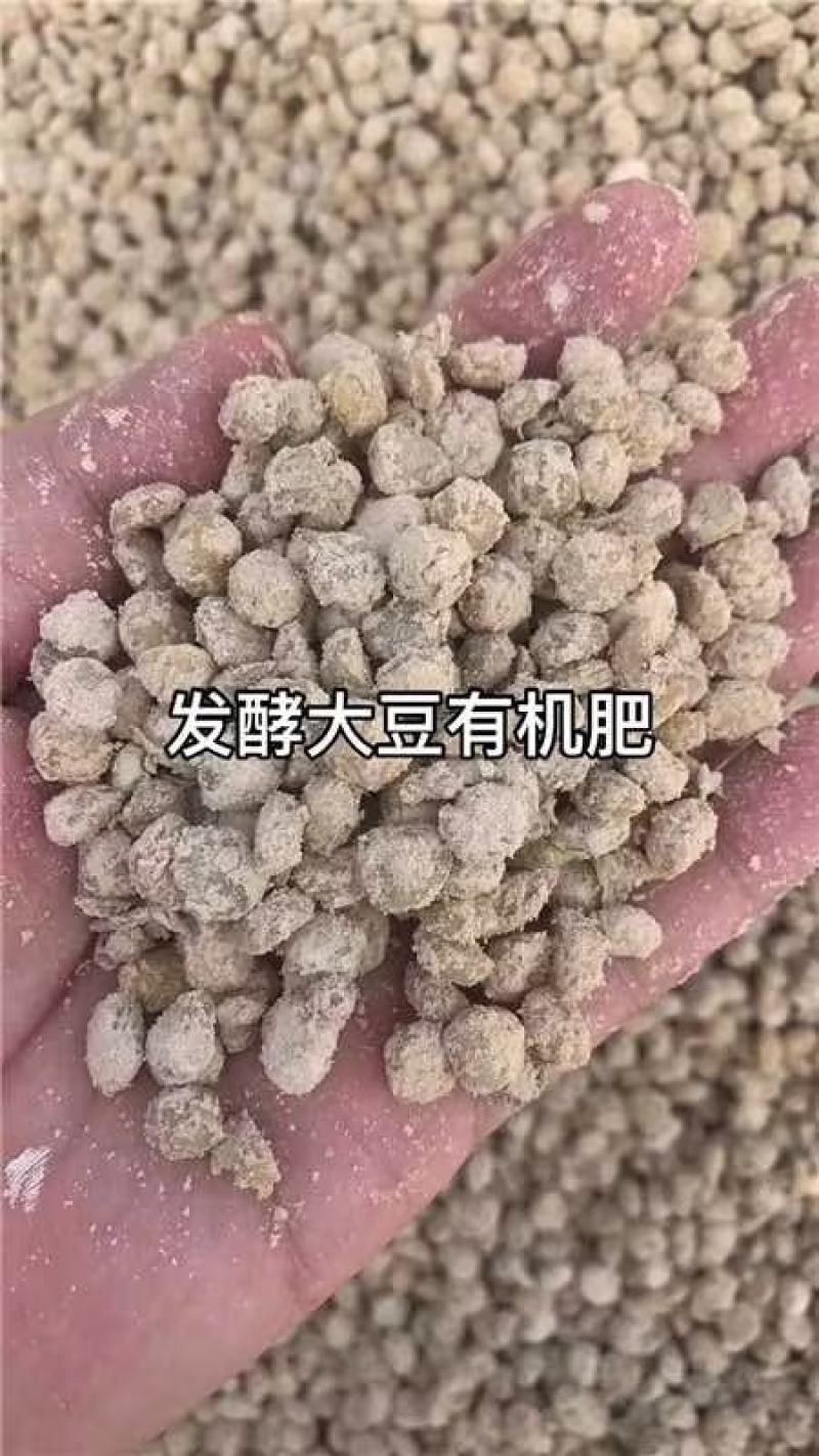 精品【生物菌发酵大豆】发酵大豆有机粪质量保证品种纯正欢迎咨询