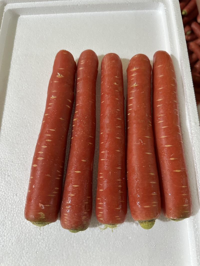 新鲜土水果红萝卜胡萝卜供应电商加工厂批发市场质量好价低