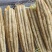 小白嘴山药箱货网袋散货包装按需提供价格实惠欢迎咨询