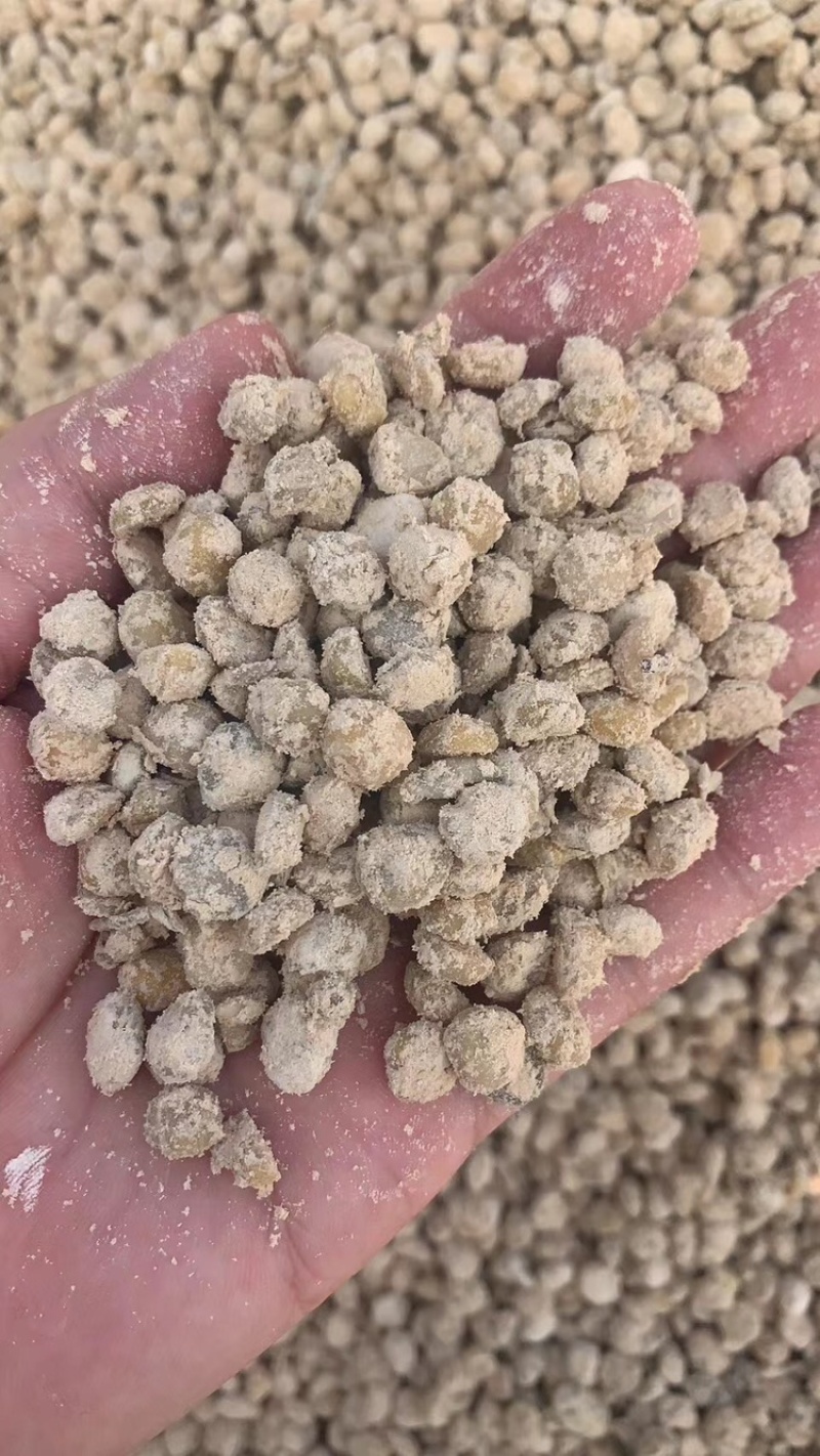 精品【生物菌发酵大豆】发酵大豆有机粪质量保证品种纯正欢迎咨询