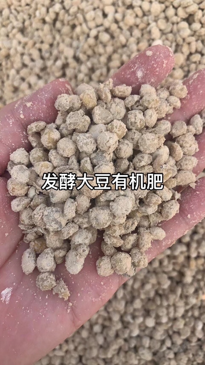 精品【生物菌发酵大豆】发酵大豆有机粪质量保证品种纯正欢迎咨询