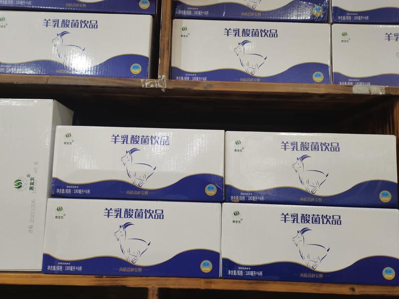 中国羊奶城乳酸菌液态奶好喝又健胃一箱6瓶