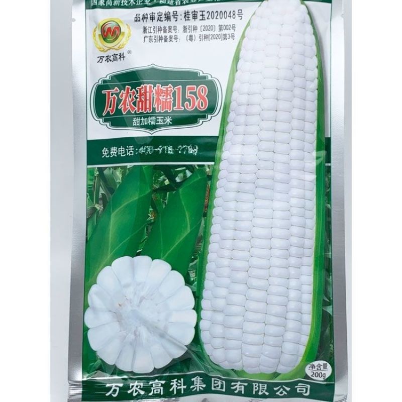 万农甜糯158白甜糯玉米种籽高产春季良种早熟矮杆甜加糯粘