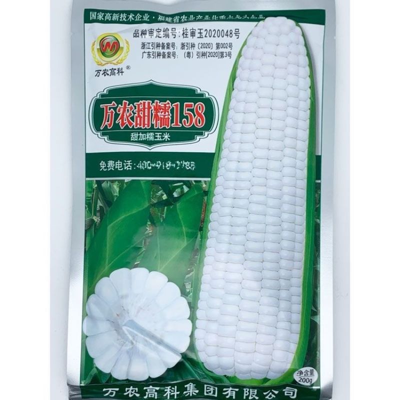 万农甜糯158白甜糯玉米种籽高产春季良种早熟矮杆甜加糯粘