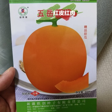 红皮红肉甜瓜种子早熟大果型单瓜重6斤左右酥脆含糖量高抗病