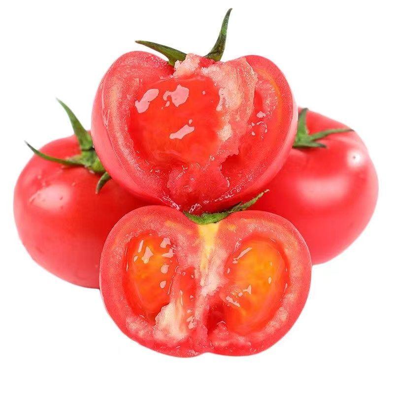 [热卖]河北唐山大红西红柿西红柿番茄产地直发