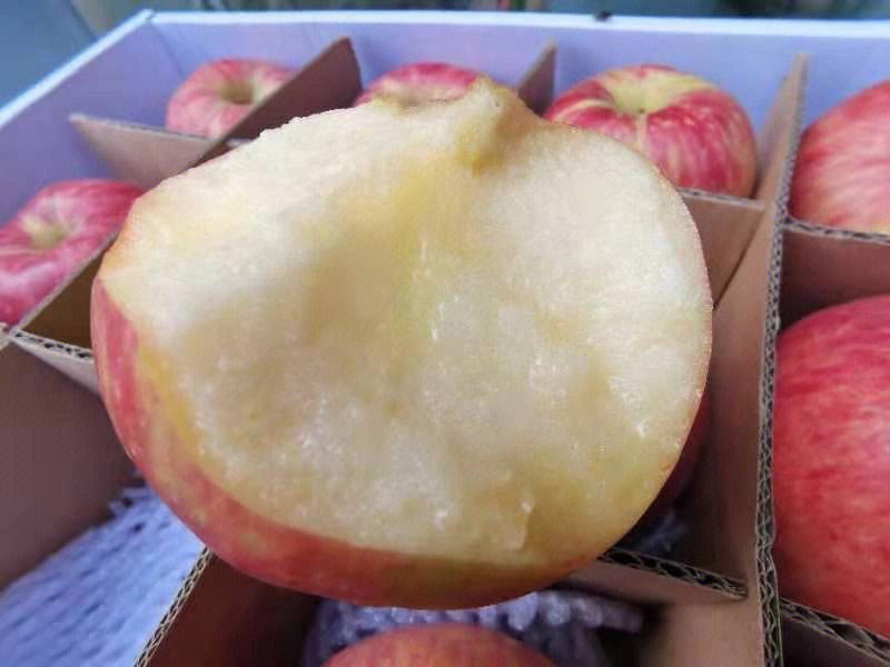 秦脆苹果；一手货源.产地直发.价格便宜.可以视频看货
