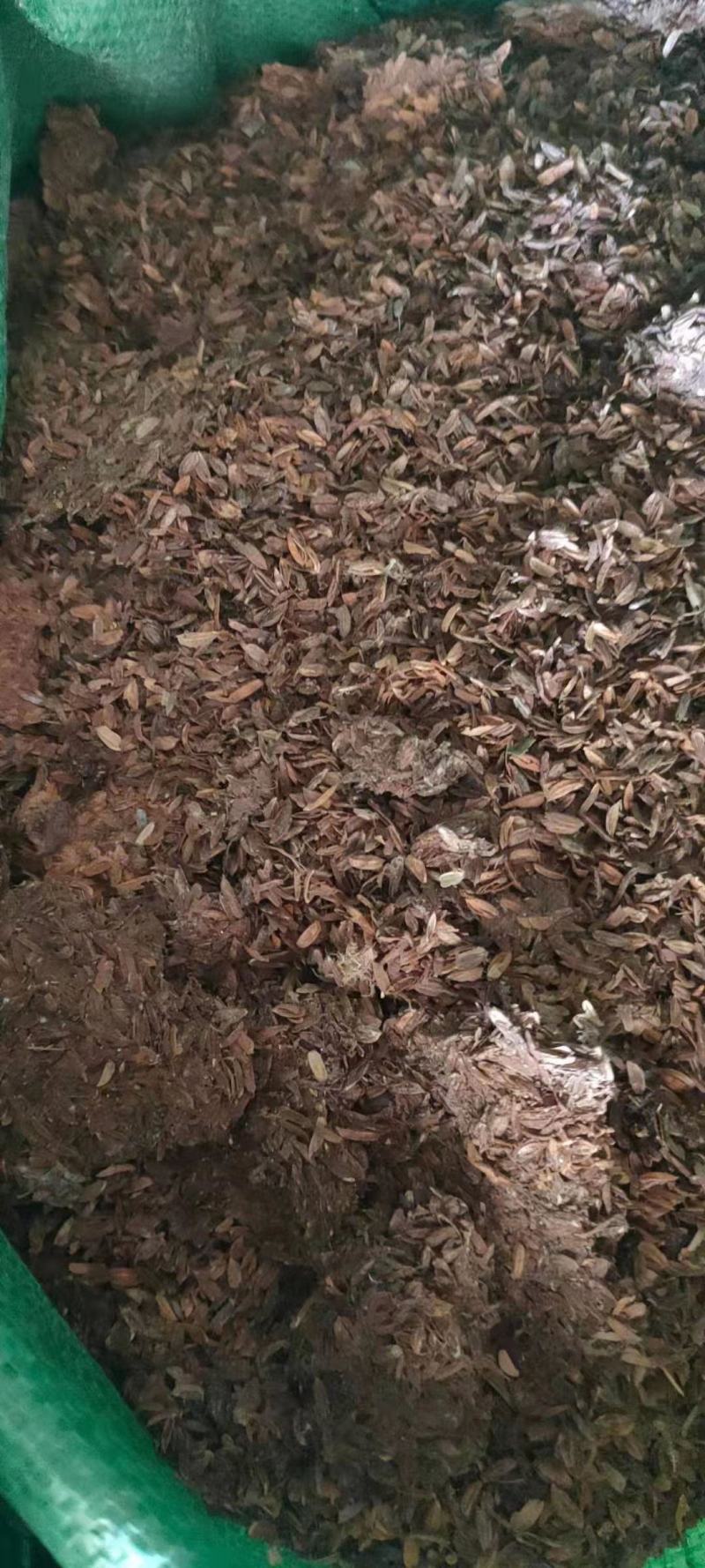 养殖场基地发货，稻壳鸭粪，散装，袋装