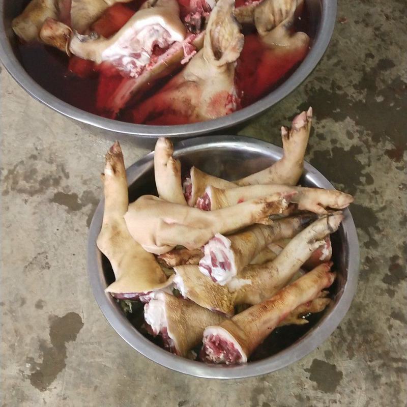 [热卖]贵州遵义藏香猪肉猪肉厂家直发藏香猪肉