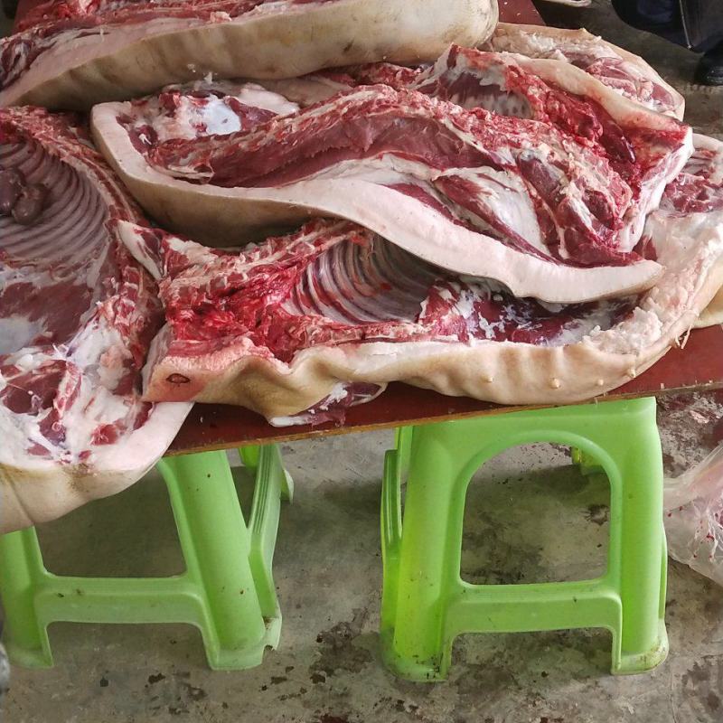 [热卖]贵州遵义藏香猪肉猪肉厂家直发藏香猪肉