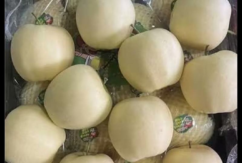 辽南黄元帅，大量有货