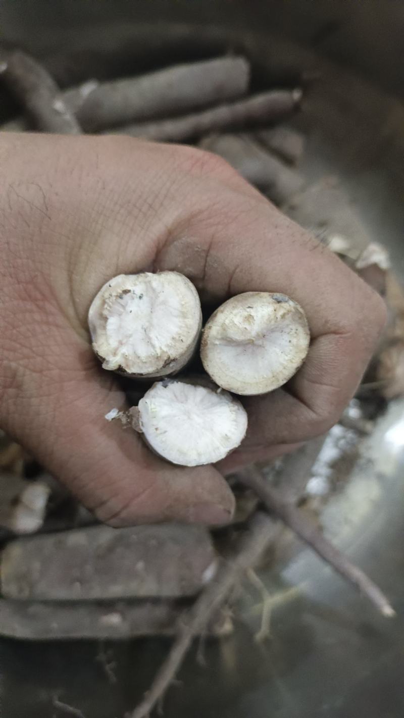 纯赤芍、5-8年的都有