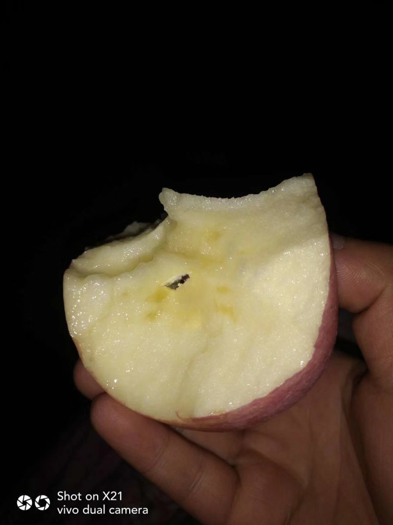 三门峡红富士