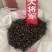 天龙壁虎守宫国内版包邮