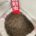 天龙壁虎守宫国内版包邮