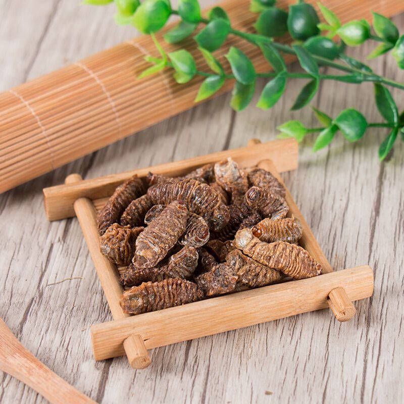 蛴螬野生中药材蛴螬土蚕老母虫核桃虫蛴螬虫可磨蛴