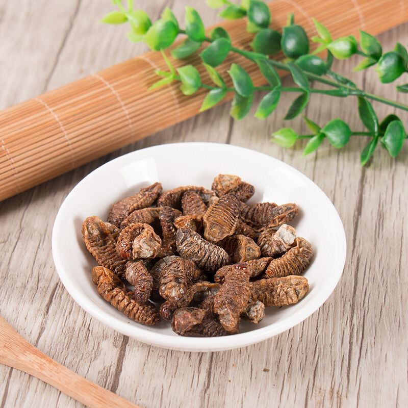 蛴螬野生中药材蛴螬土蚕老母虫核桃虫蛴螬虫可磨蛴