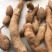 野生牛大力自己挖的38一斤10斤起发货
