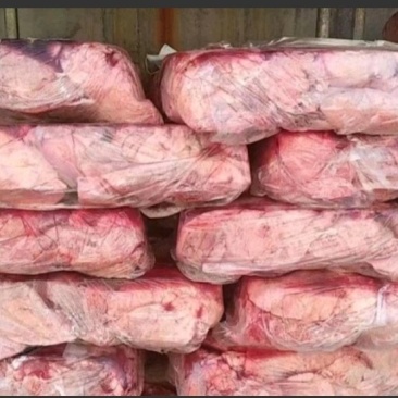 猪肺大量猪肺便宜出工厂直发