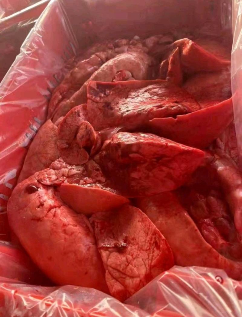猪肺大量猪肺便宜出工厂直发