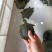 浙江本地乌鳖冷水苗，40-50克/只
