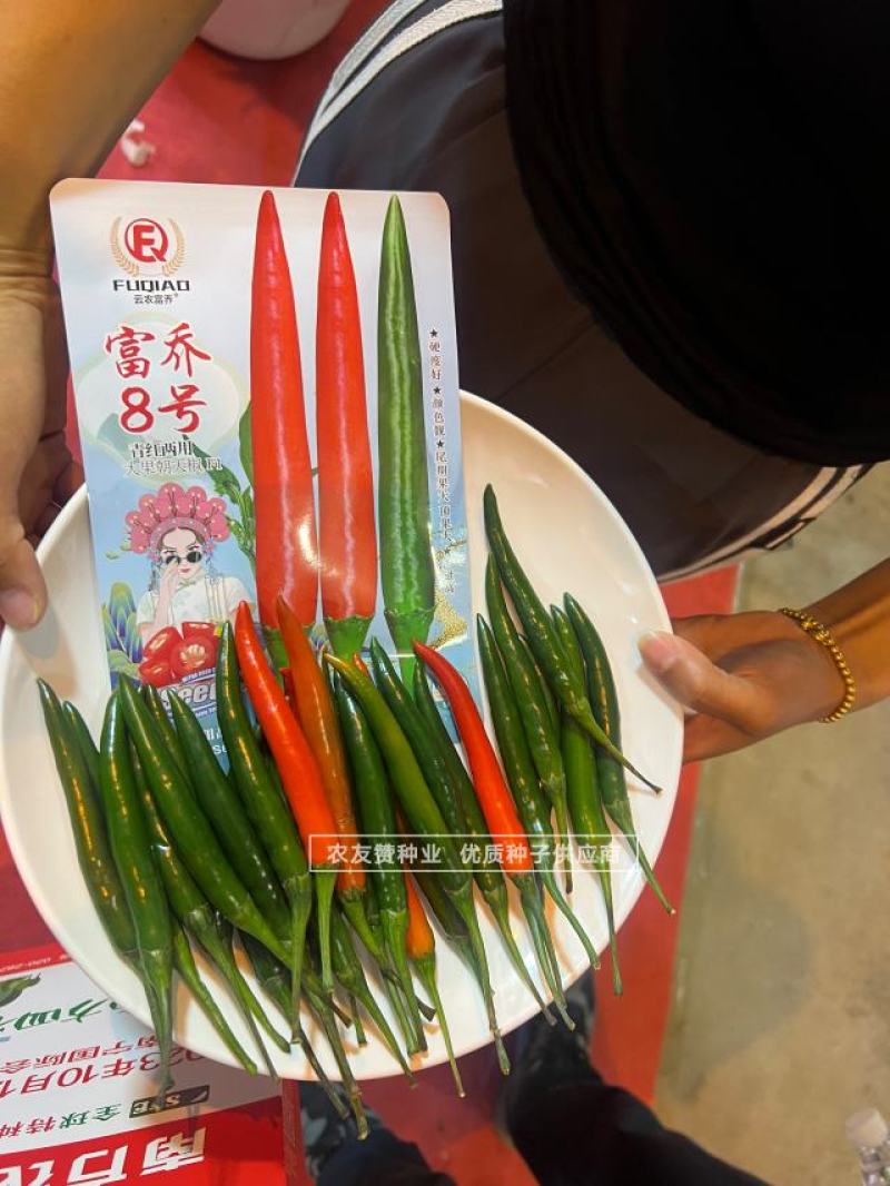 富乔8号大果朝天椒种子滑皮早熟青红两用朝天椒种子硬度好