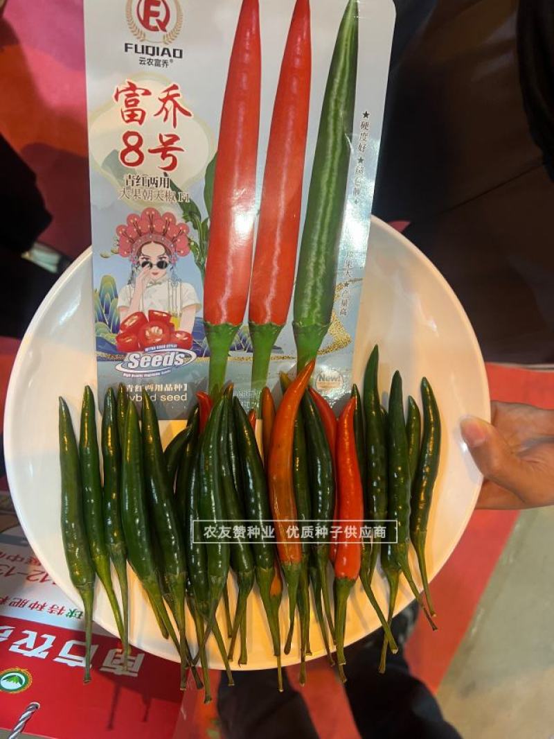富乔8号大果朝天椒种子滑皮早熟青红两用朝天椒种子硬度好