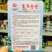 富乔8号大果朝天椒种子滑皮早熟青红两用朝天椒种子硬度好