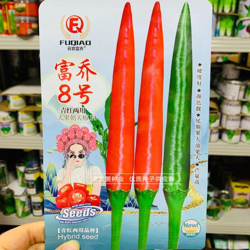 富乔8号大果朝天椒种子滑皮早熟青红两用朝天椒种子硬度好