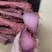 五香麻辣酱香肉。。味道好，品质高，资质齐全。现货秒发。。