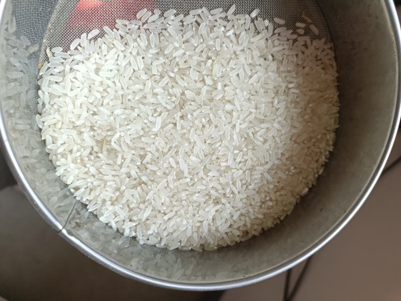 大型烘干厂大量上市稻谷