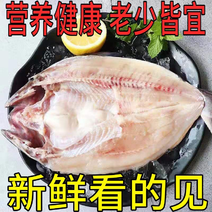开背巴沙鱼湄公鱼烤鱼食材烤鱼纸包鱼商用开背鱼