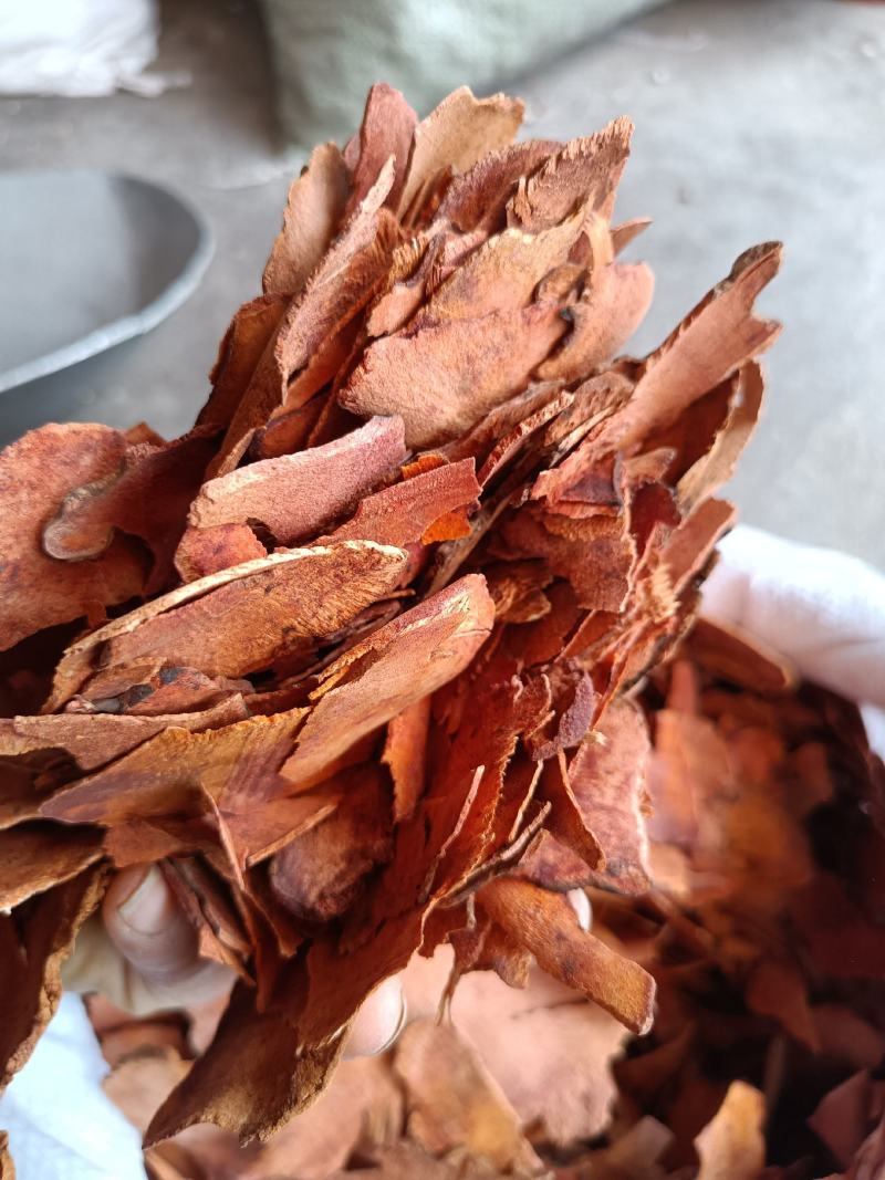 中药材土茯苓片野生土茯苓大片新货无硫土茯苓