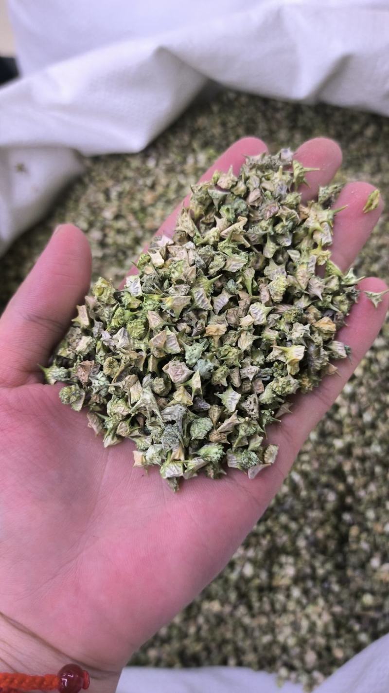 中药材蒺藜白蒺藜刺蒺藜可磨蒺藜粉蒺藜子现货批