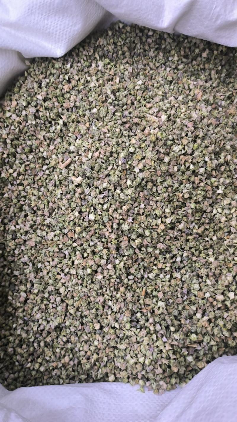 中药材蒺藜白蒺藜刺蒺藜可磨蒺藜粉蒺藜子现货批
