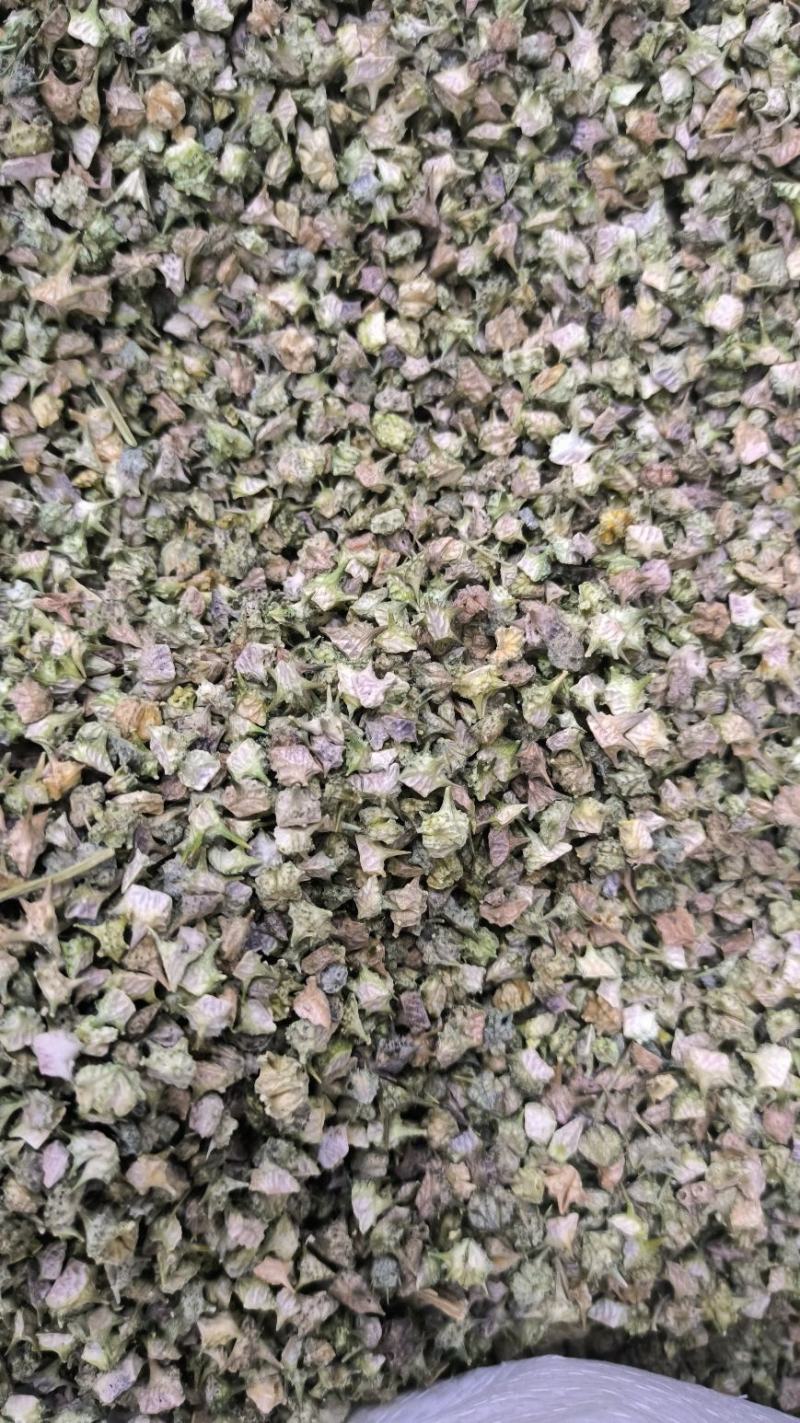 中药材蒺藜白蒺藜刺蒺藜可磨蒺藜粉蒺藜子现货批