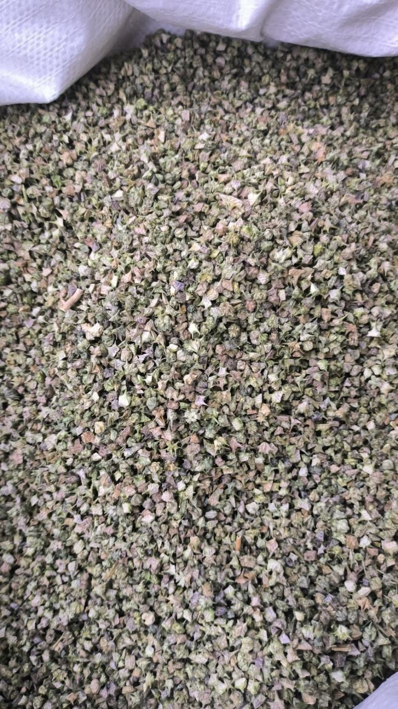 中药材蒺藜白蒺藜刺蒺藜可磨蒺藜粉蒺藜子现货批