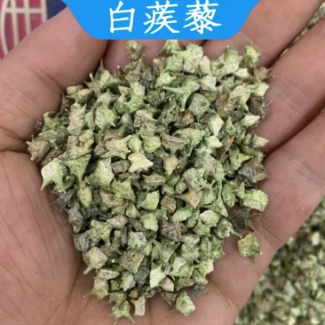 中药材蒺藜白蒺藜刺蒺藜可磨蒺藜粉蒺藜子现货批