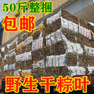 商用野生干粽叶50斤批发粽子叶新鲜麻竹叶箬竹叶大宽叶