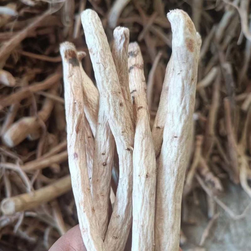 脱皮芍药，精品好货，支持视频看货，多年经营诚信店铺