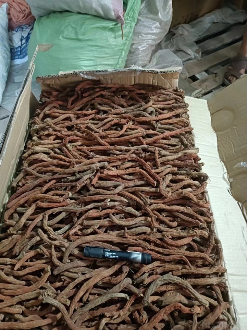 丹参条，紫丹参条，紫丹参片，精品大量供应