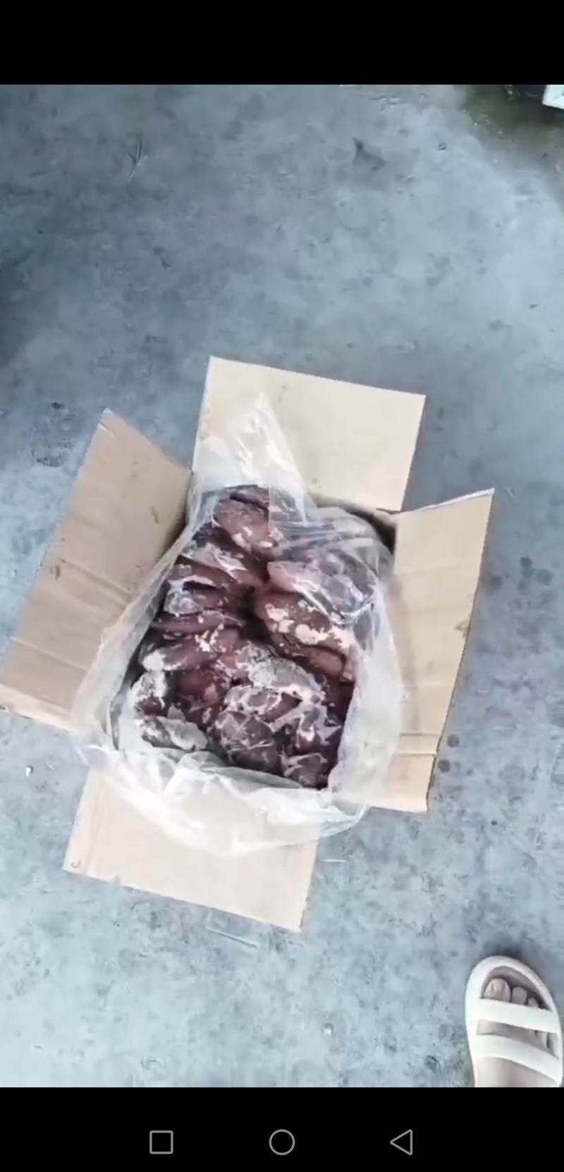 二级腰子