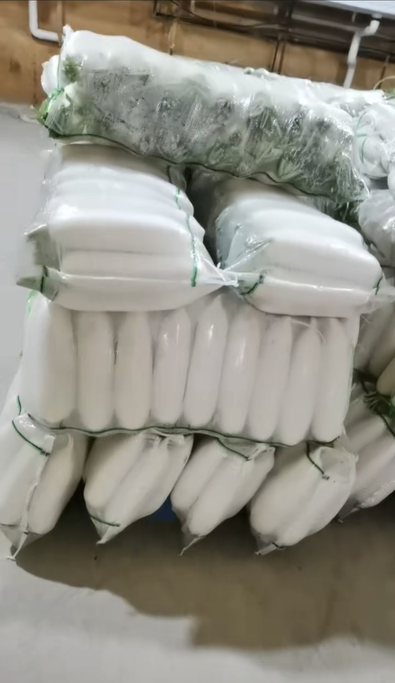 遂宁精品白萝卜长萝卜象牙白大量出货