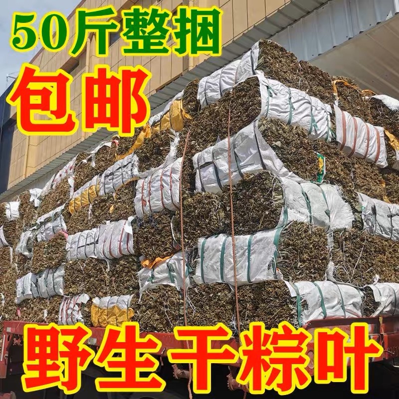 商用款野生干粽叶50斤包邮新鲜麻竹叶箬叶批发粽子叶
