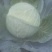 圆包菜