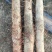 大量供应优质白鬼，黑鬼，广西山药，粉面香糯，口感好。