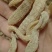 无硫天麻片，天麻个，云南野生小天麻，天麻各种规格中药天麻