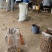 【优选】新鲜芋头软糯香甜芋头8520产地直发欢迎订购